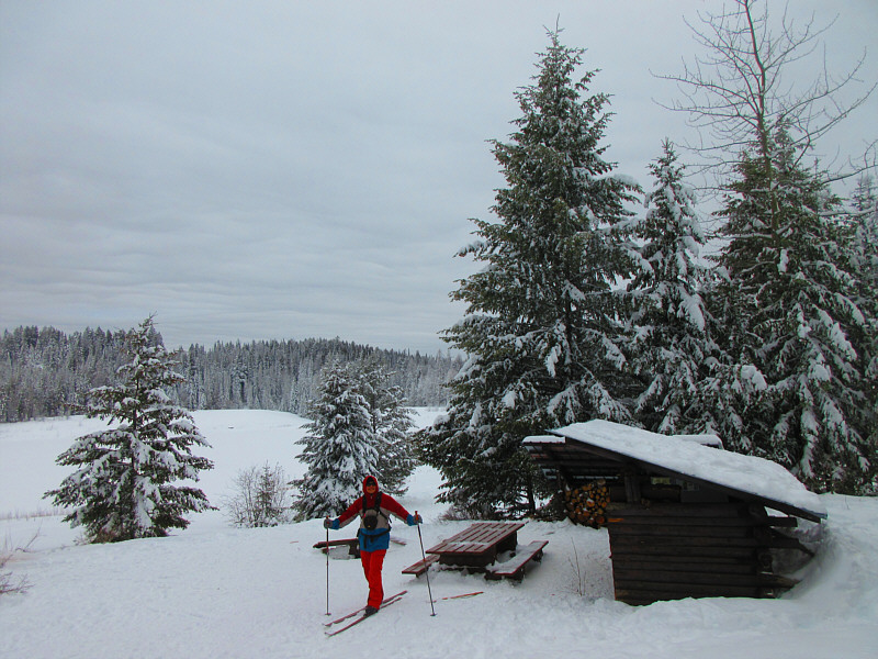 Unfortunately, I didn't bring anything for a picnic!