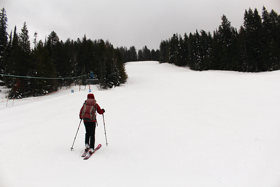 Bobcat is steeper than it looks from here!