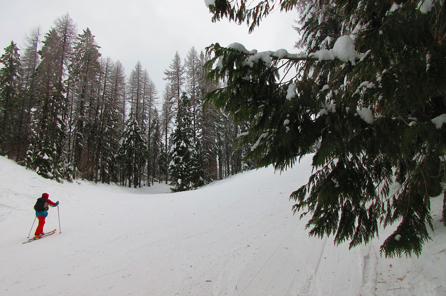 It's a good thing they didn't name the run "Montezuma's Revenge"!