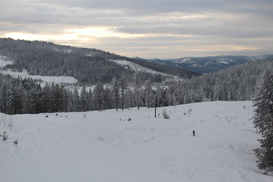 More like "Lounge Lizard"!