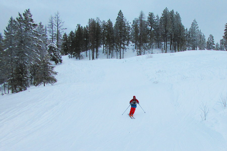 Adequate snow coverage, but they could use more!