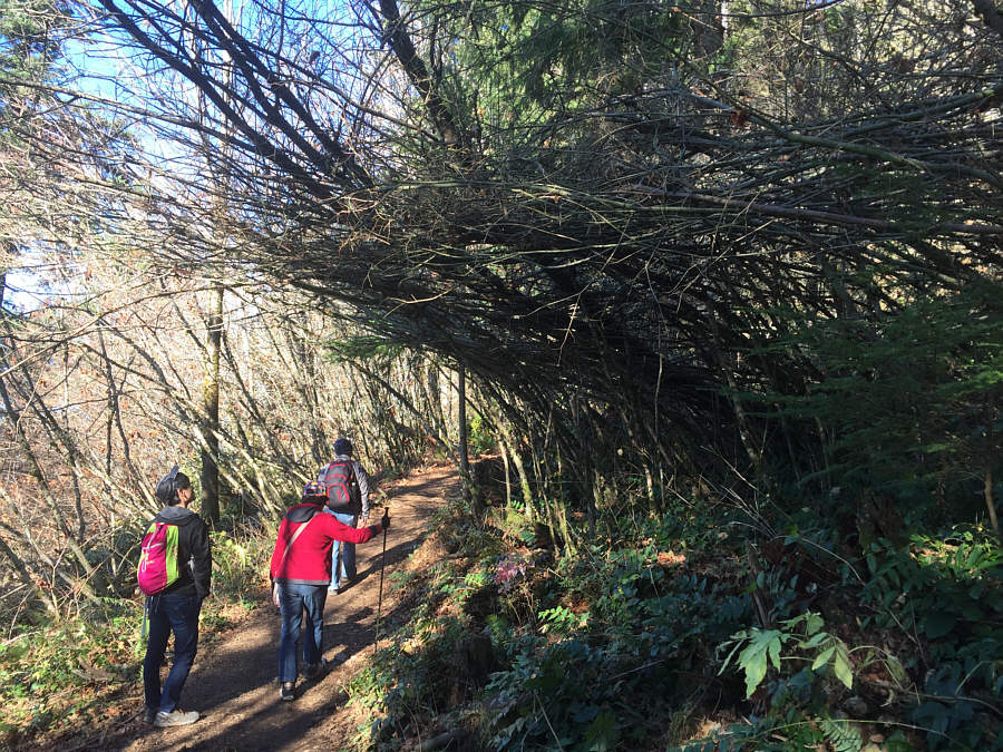 Bushwhacking would suck a lot here!