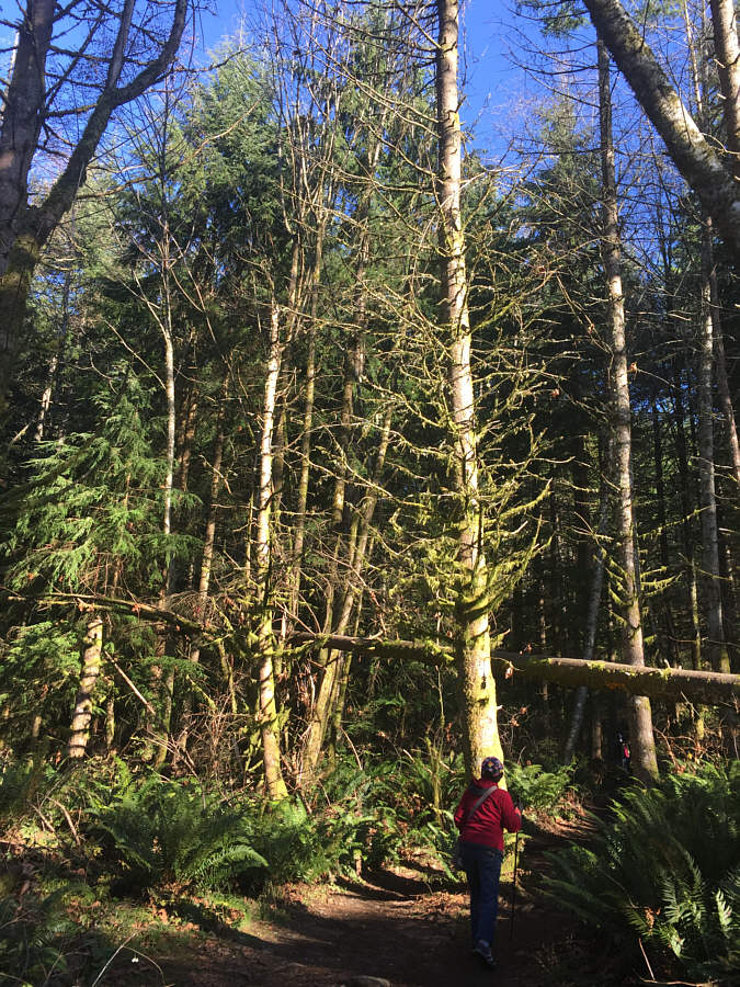 Almost there...for real!