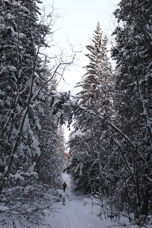 It's a winter wonderland!