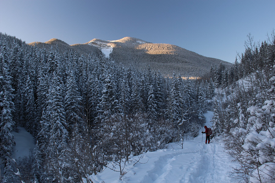 Keep an eye out for horse dung around here!