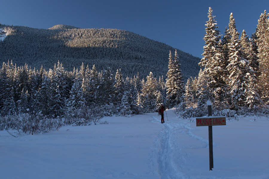 About halfway to the pass.