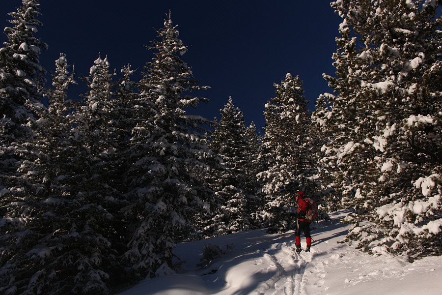 It felt downright balmy here!