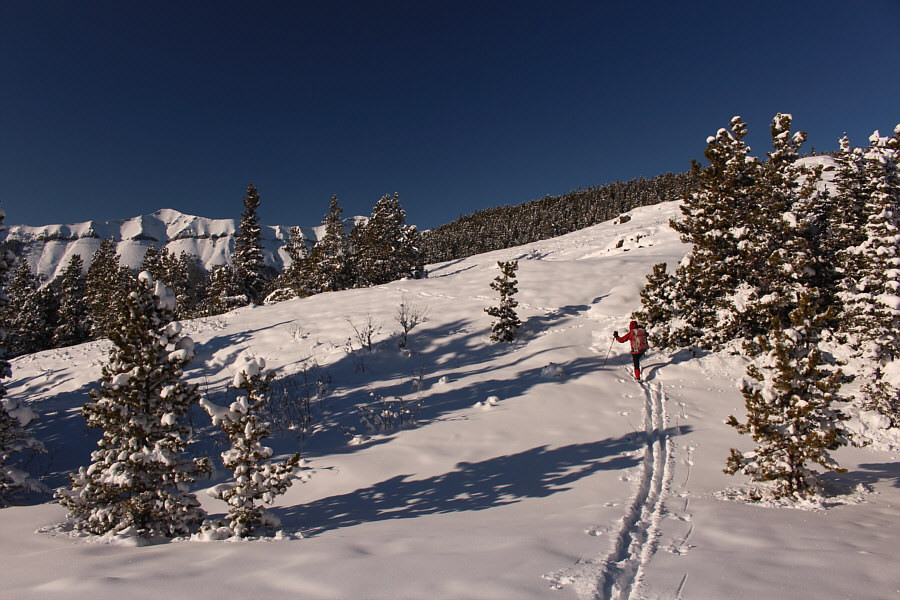 Too bad we didn't have our AT gear with us. We could have done a few laps here!