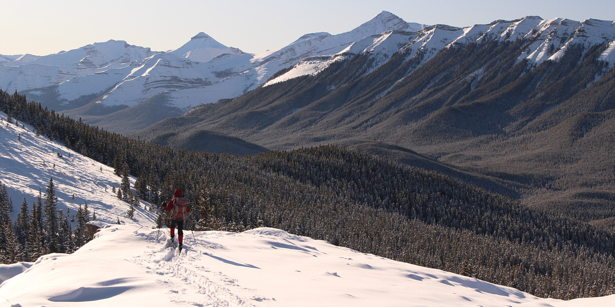 Okay, this made the long ski through the trees worthwhile!