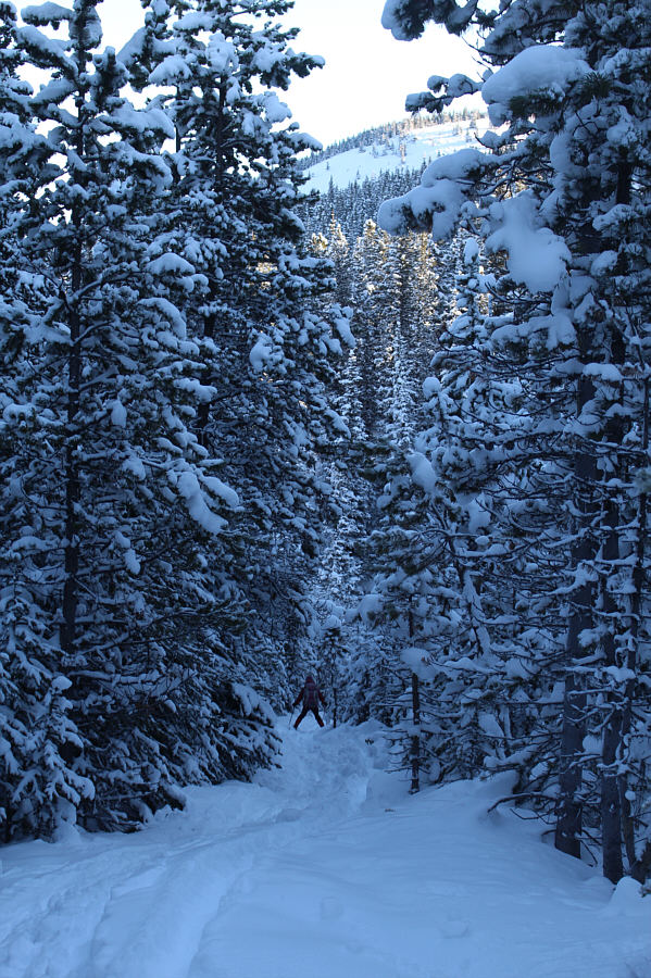 With light touring gear, it's not a bad idea to keep your skins on for the descent!