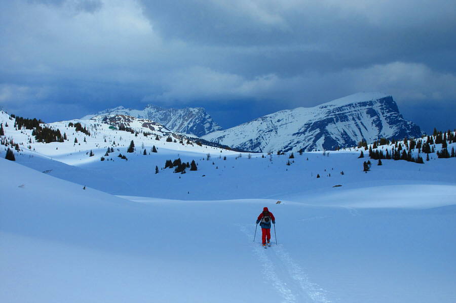 Looks like a storm is coming...