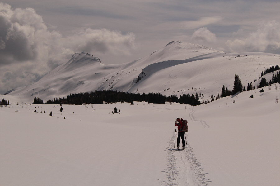 Avalanche hazard was low across the board on this day.