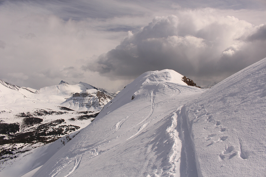 Definitely somebody skied from the very top!