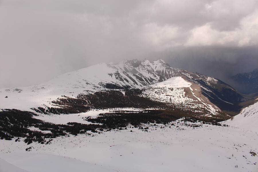 Doesn't "Sunshine Landing" have a nice ring to it?
