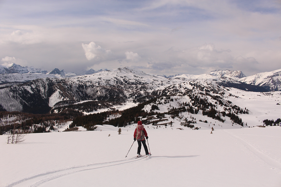 The snow was a bit too sticky for my liking, but it was skiable nonetheless.