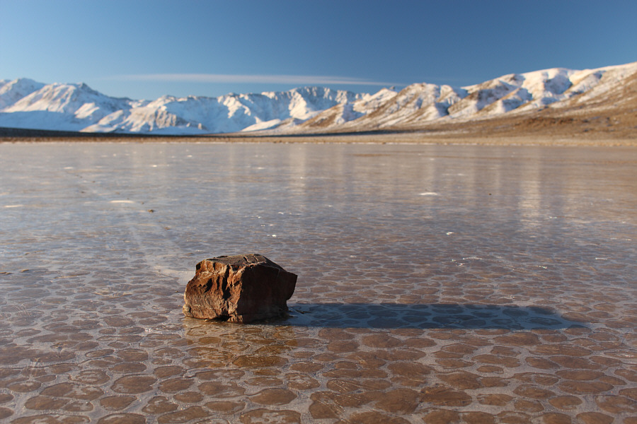 There! Did you see it move?!