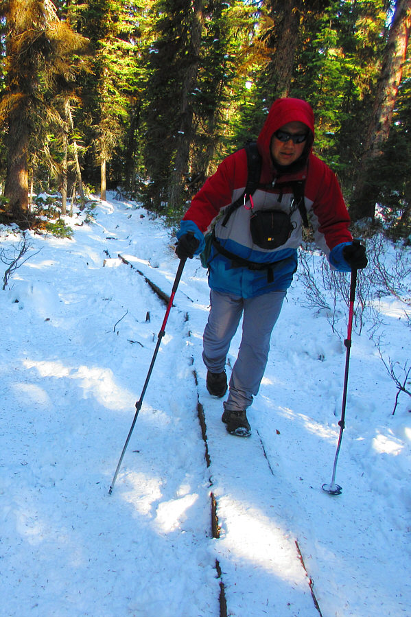 I need some new trekking poles!