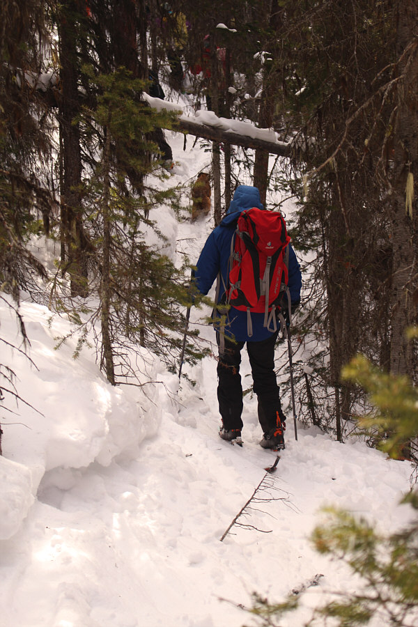 Only recommended for masochists!