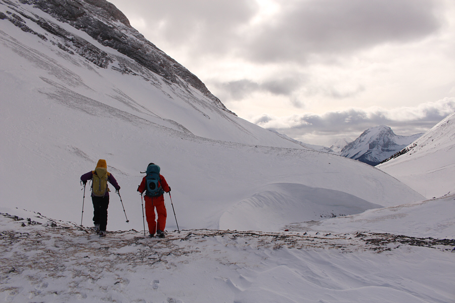 Looks a little daunting now...