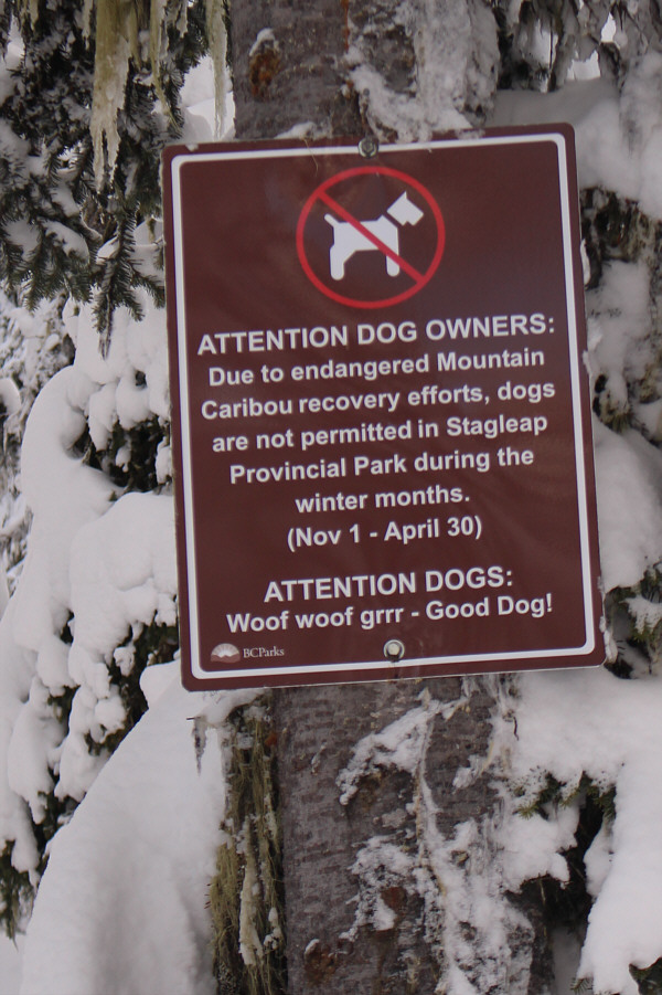 Woof woof...awooooooooooo!!!