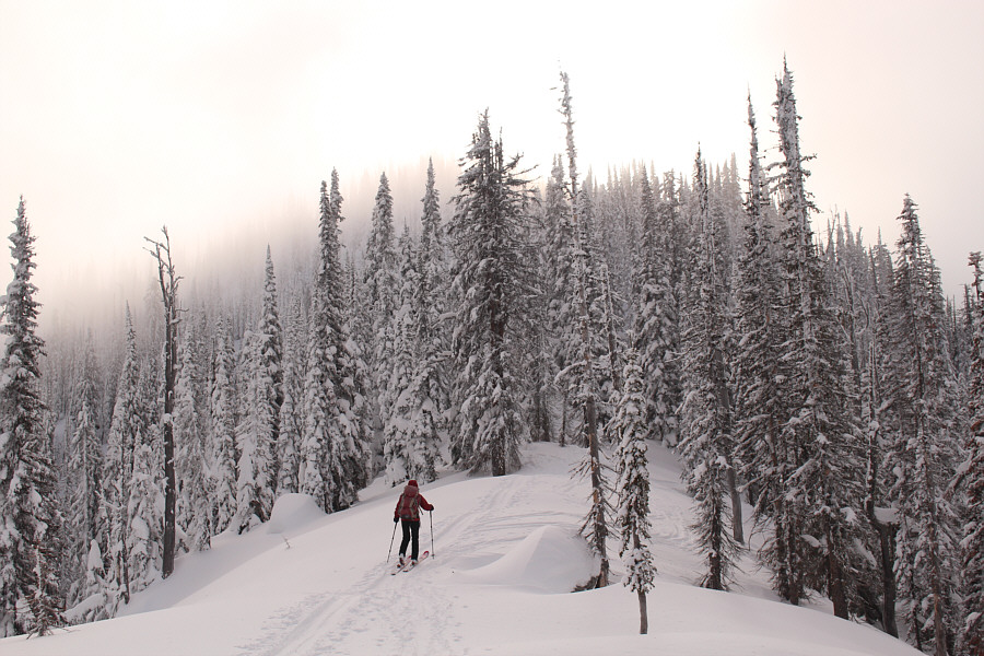 Well, let's see where this goes...