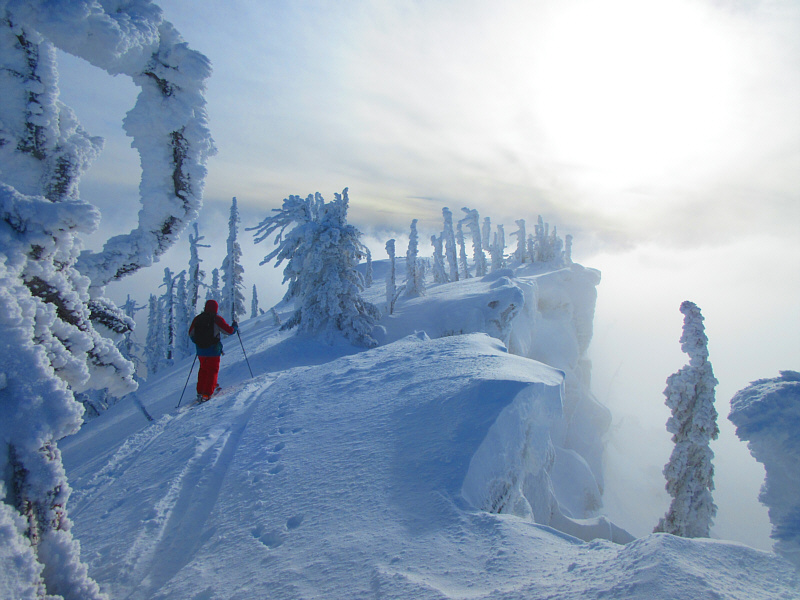 Best photo of the day!