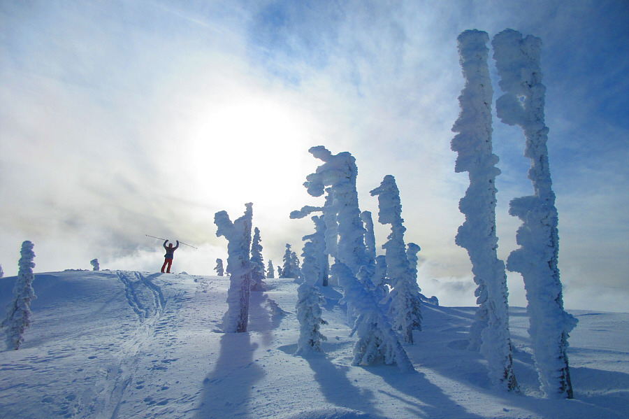 Another great photo by Zosia. Yay!