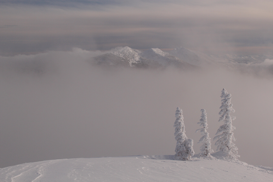 Looks very intriguing to me...