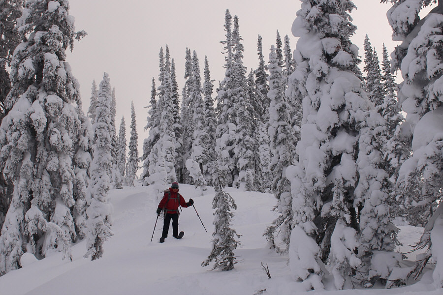 Sure is fun to ski though!