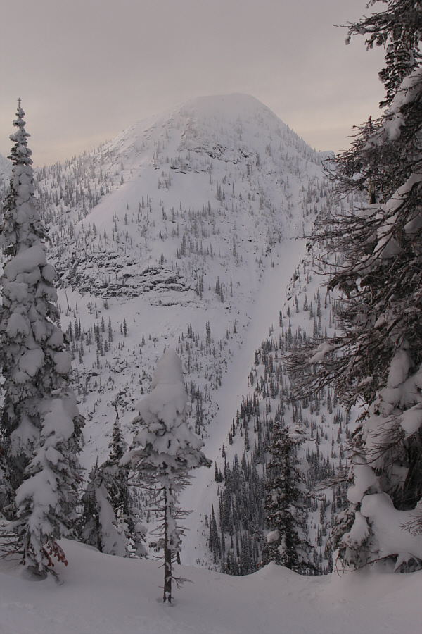 How tempting would it be to ski that avi gully?