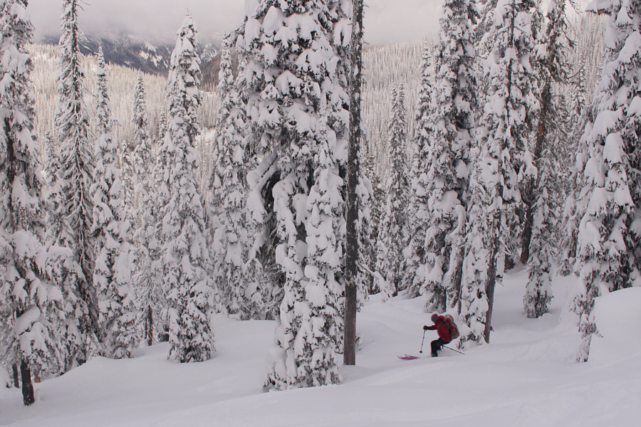 It's better to get off the north ridge to skier's right sooner than later!