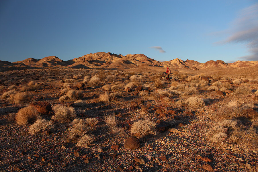 I still wasn't sure at this point!