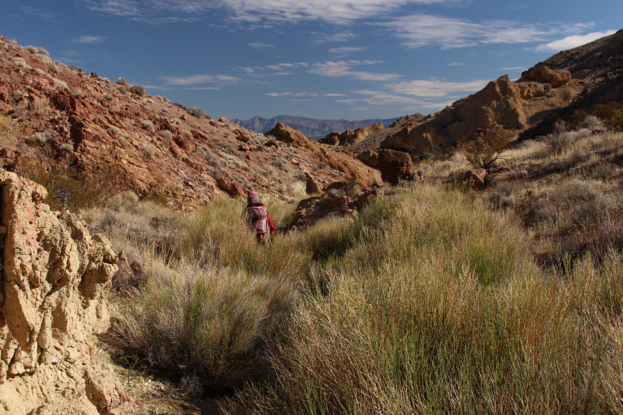 There were a few standing pools of water here and there but no running water.