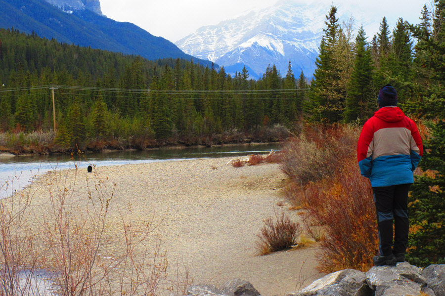 Must have stopped in town for a quick bite!