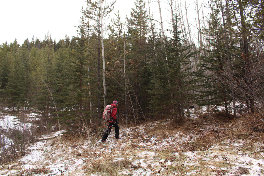 The road less traveled?