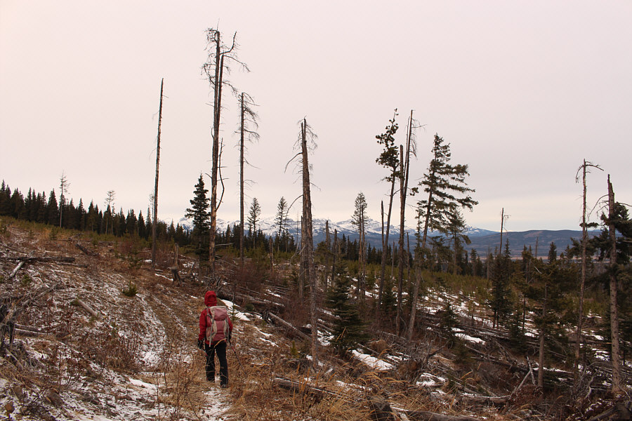 This might be a good place for ski touring if there is enough snow.