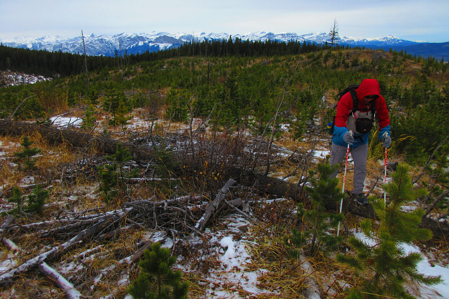 I guess it's better than having no views!