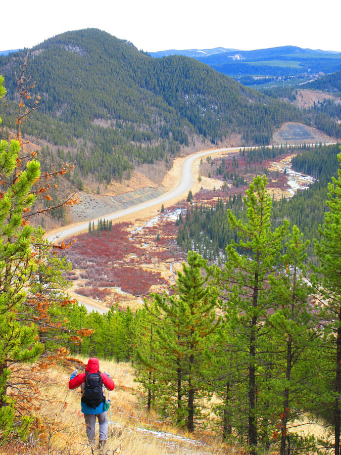 Nice end to the loop hike!