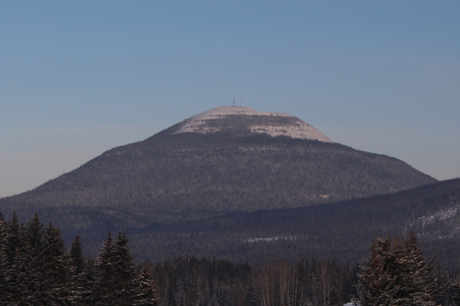 Too cold to climb it the previous day!