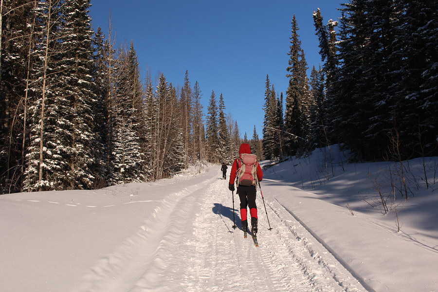 A snowmobile would work too!