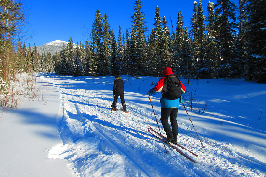 Snowshoers and skiers living in harmony!