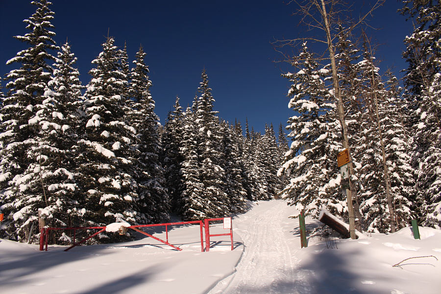 By this point, we had already traveled about 5 kilometres and climbed about 325 metres.