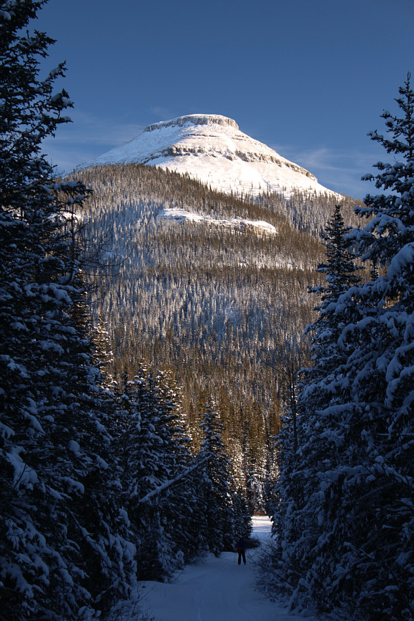 Houmaro had one more wipeout here!