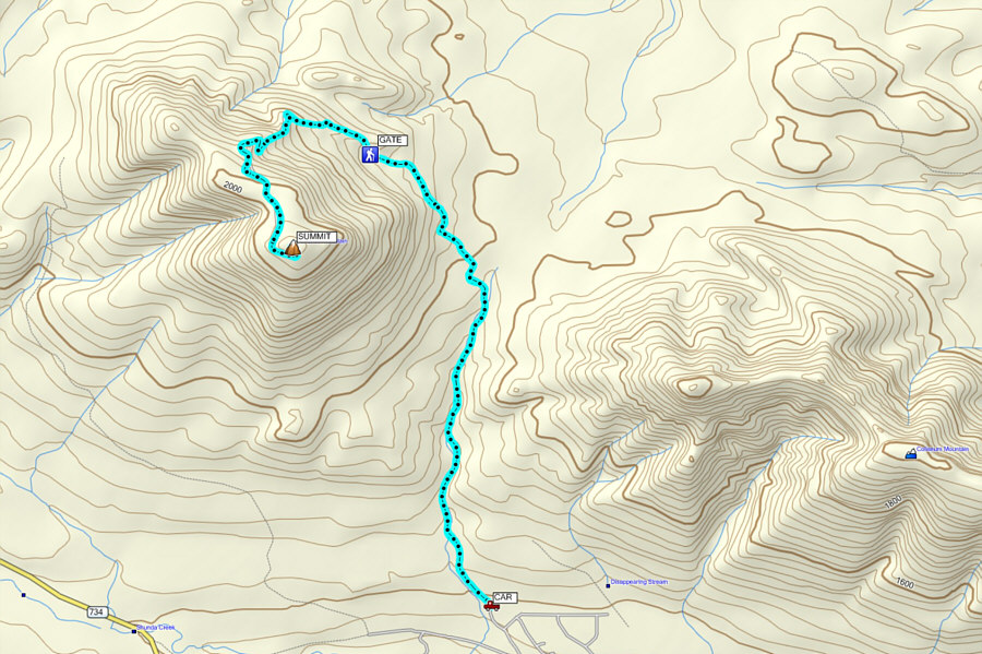 Light touring skis with skins are the way to go!