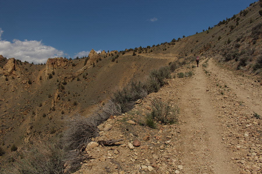 I could've driven up here!