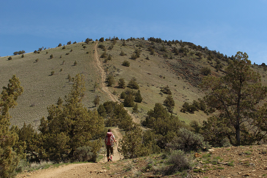 The path is steeper than it looks!
