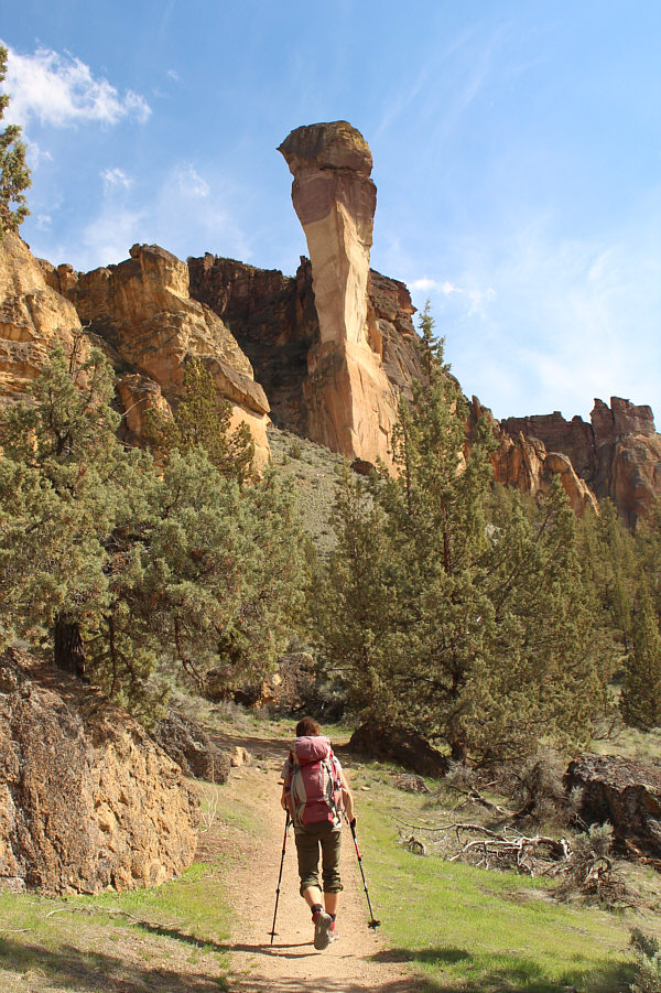 Insert your own phallic joke here.