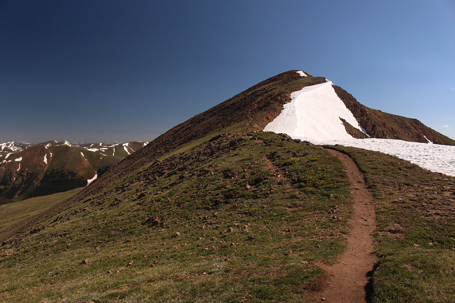 Zosia is somewhere up ahead here, but it's extremely hard to spot her.