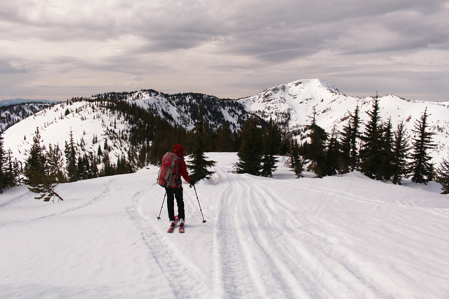 Okay, doesn't look so bad from here...