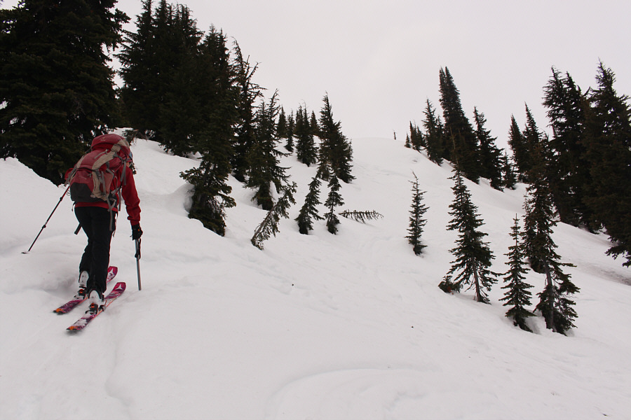 This is definitely not one of the usual ascent routes for Stevens Peak!